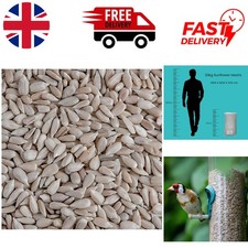 Bakery Grade Sunflower Hearts for Wild Birds – 12.55kg Nutritious Seed Blend 4.54 per kilo