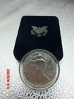 The American Silver Eagle 2021 (TDW044816)