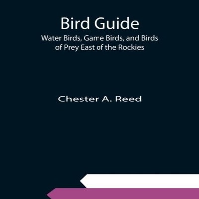 Bird Guide Water Birds Game Birds and Birds of Prey East of the R