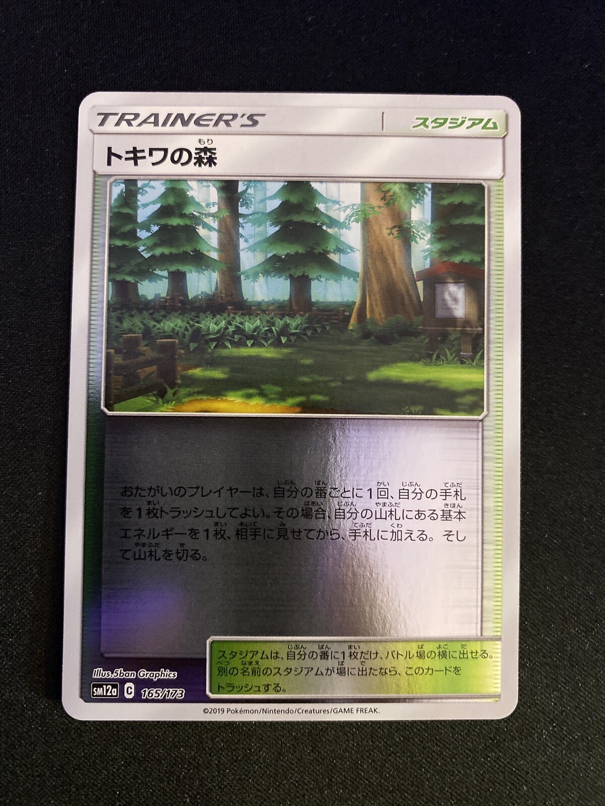 165-173-SM12A-B - Pokemon Card - Japanese - Viridian Forest - Reverse Holo