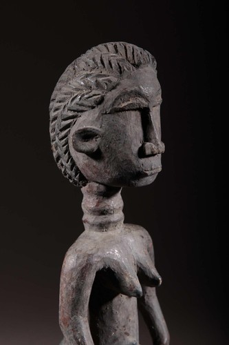 Colon Agni 2564 - Photo 5 sur 13