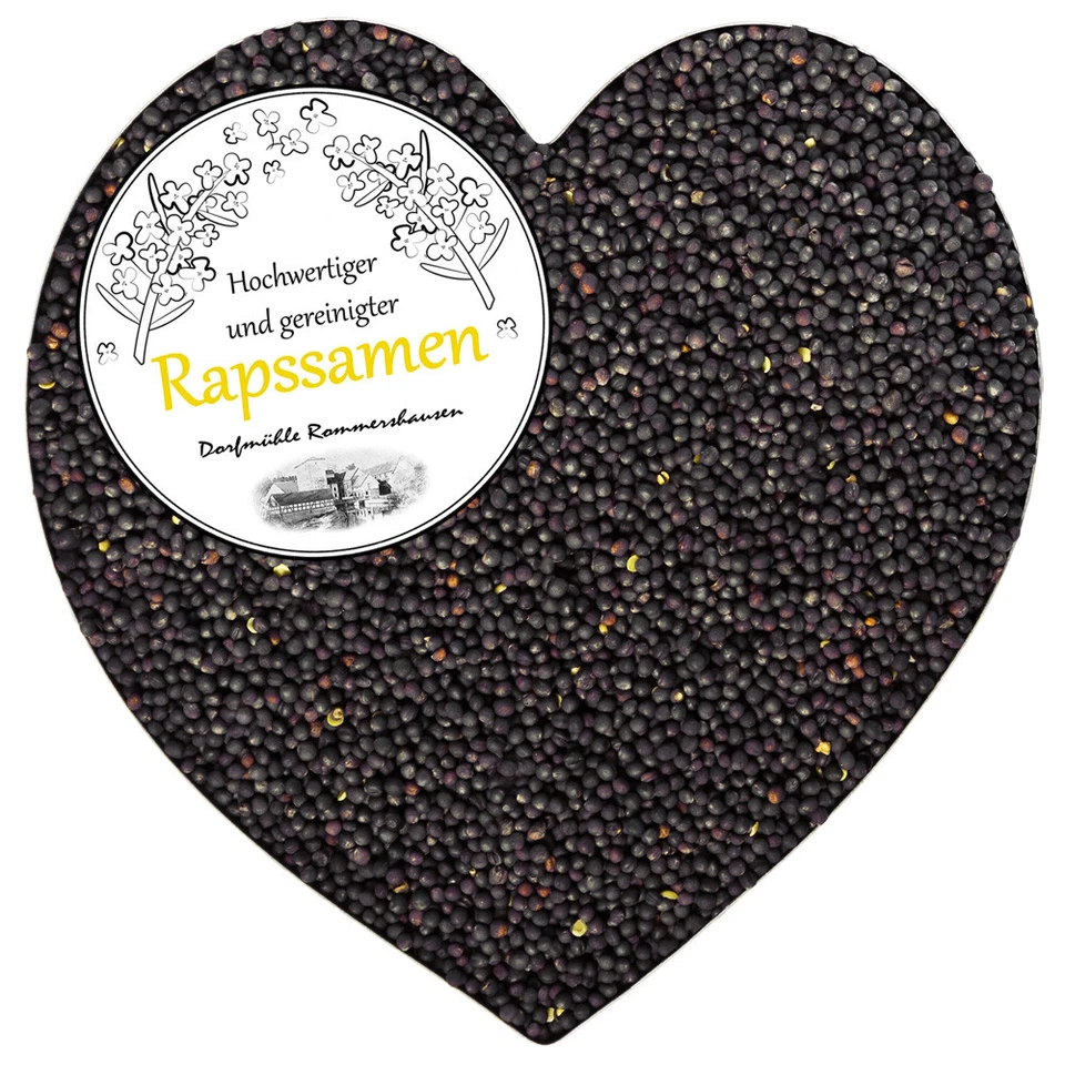 (2,20€/1kg) 10 kg Raps Rapssamen Gereinigt Rapssaat Rapskissen Kissen Wärmekisse - Bild 2 von 4