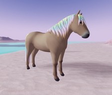 Wild Horse Islands 🌸 ND Rainbow Gold Fade Rodblakk Fjord 🌸