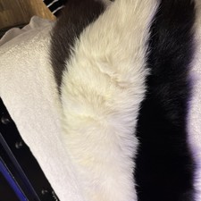 NEW White RARE Fox Collar Finland Origin Satin Lined Luxury Real Fur Wrap