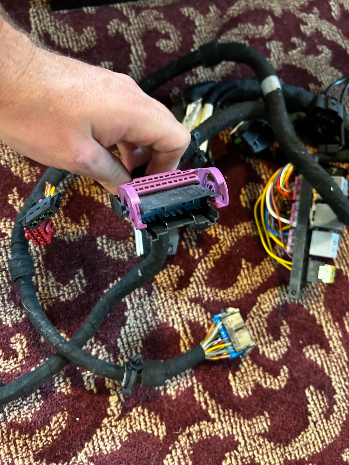 2004-2008 Lamborghini Gallardo Wire, Wiring Engine Computer ECU Harness Plug