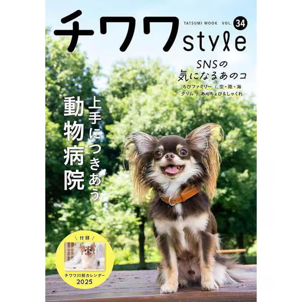 Chihuahua Style Vol.34 Mook Japan Import Authentic