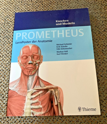 PROMETHEUS LernPoster der Anatomie, Knochen und Muskeln