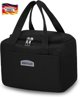 KüHltasche 5,5L Isoliert FüR Arbeit Camping Reise, Faltbar, Wasserdicht, Langleb