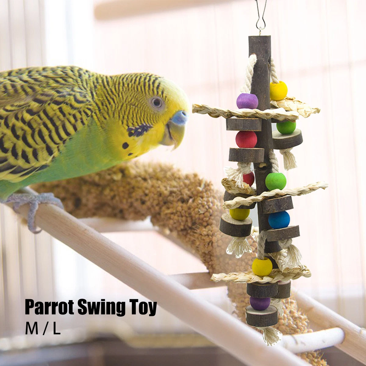 African grey top parrot swing