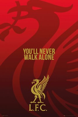 Poster Liverpool Liver Bird Ynwa Soccer Football Ebay