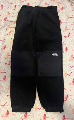 North Face Fleece Polartec Denali Joggers Pants Goldwin Japan