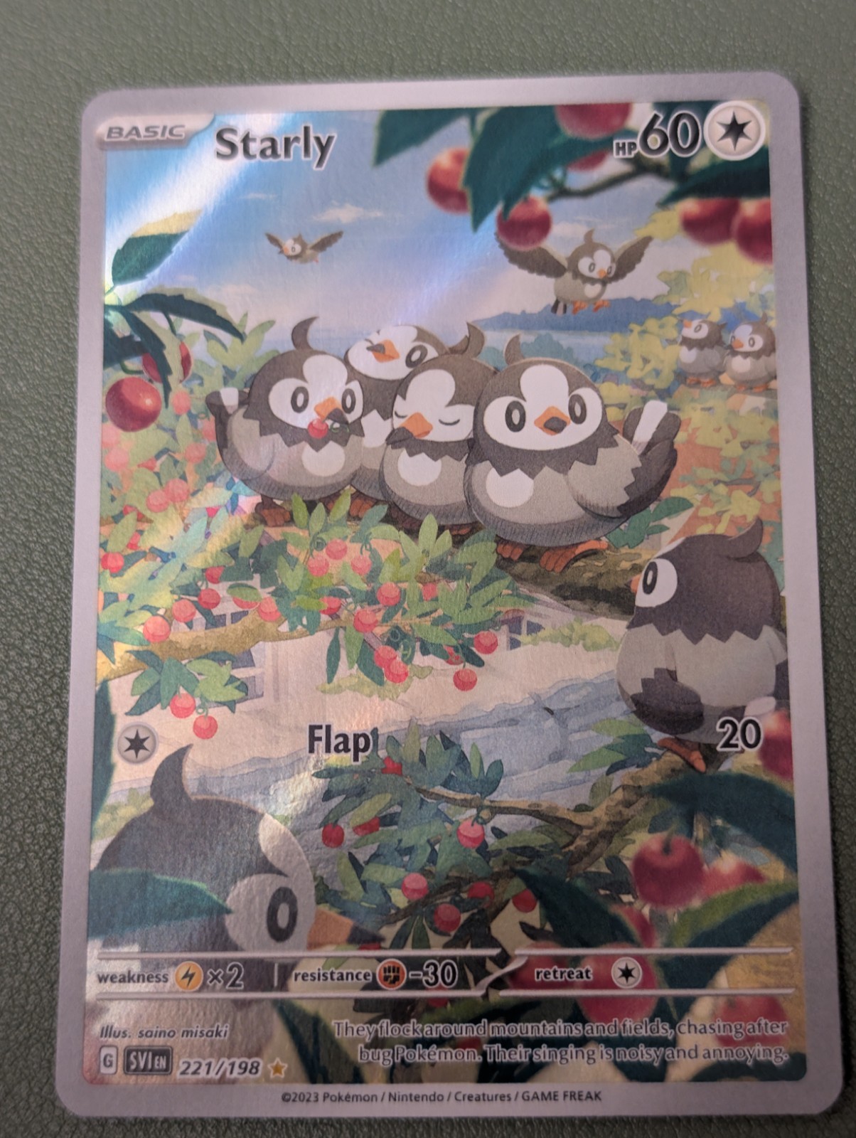 Starly 2023 Scarlet & Violet #221/198 Illustration Rare Price Guide -  Sports Card Investor