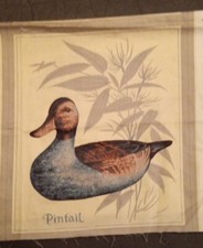Fabric Square Vintage CYRUS CLARK Brushed Cotton DUCK decoys 11x13 Pintail