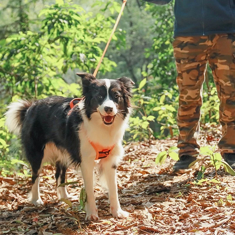 Dog Harness with Leash, Dog Leash with automatic Adjustable and Back Extension