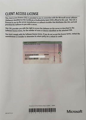 10x CAL Client Access Licenses Microsoft Windows Server 2012 Lizenz