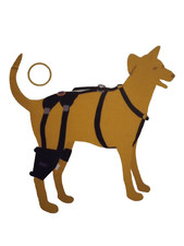Cruciate Care Knee Brace Dog Harness By Ortho Dog