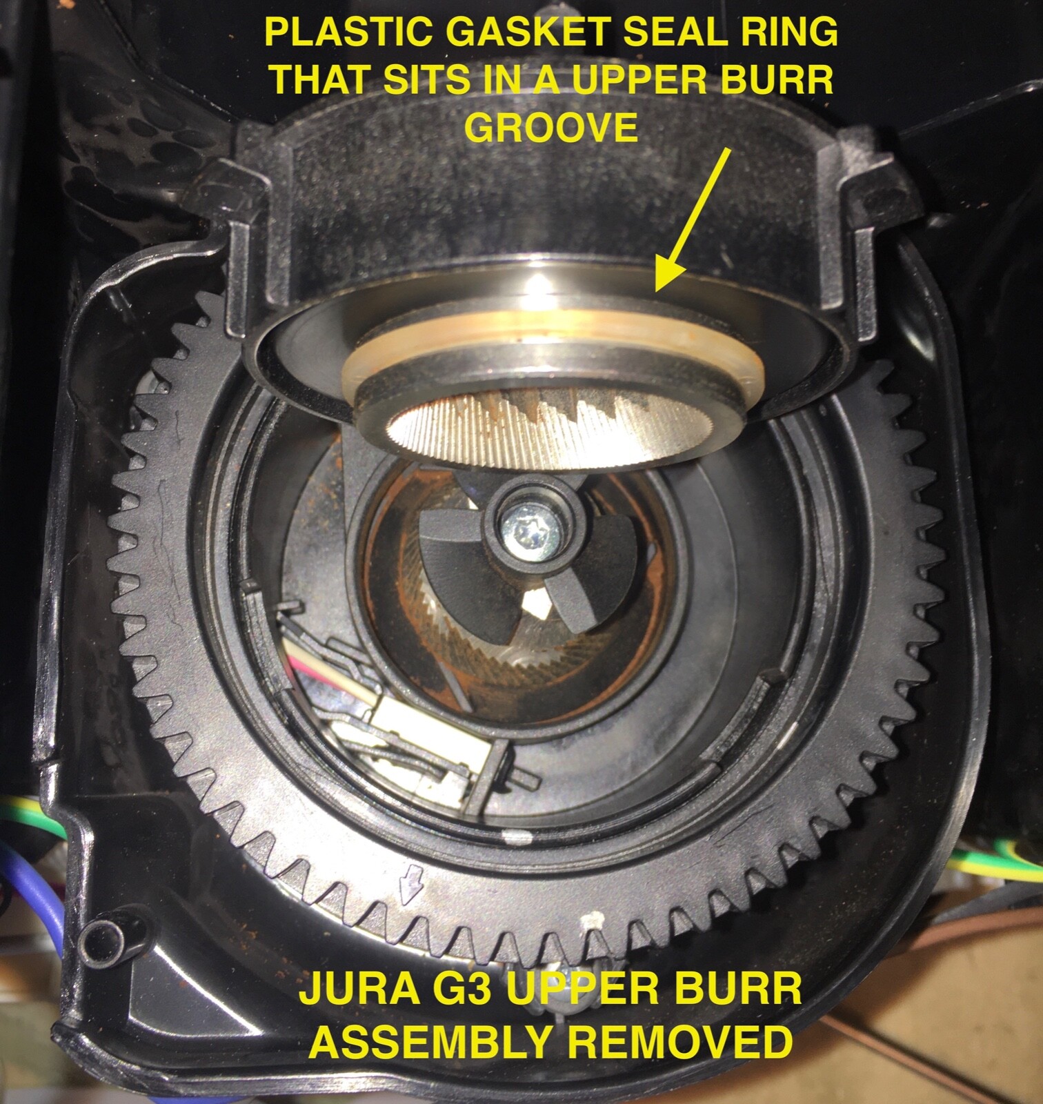Jura Impressa Conical Grinder Burr Set Replacement for Jura Aroma G3