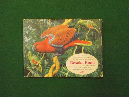 Brooke Bond Tea Cards Tropical Birds 1961 Complete Set in Album - Picture 3 of 3