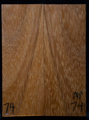 Monkey Pod #74 Knife Scales 5''x 1.9''x 7/16'' see 100 species in my store