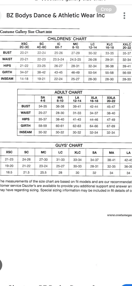 Costume Gallery Girls Pink Dance Dress Lot with Tutu And Feather Tutu - Image 4 of 4