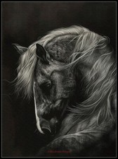 The Black Horse 2 - DIY Chart Counted Cross Stitch Patterns Needlework DMC Color