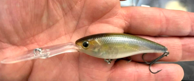 Daiwa Steez Shad 60SP EX DR Natural Ghost Shad Ship From Japan for