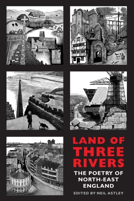 Land of Three Rivers The Poetry of North-East England (Paperback Book)