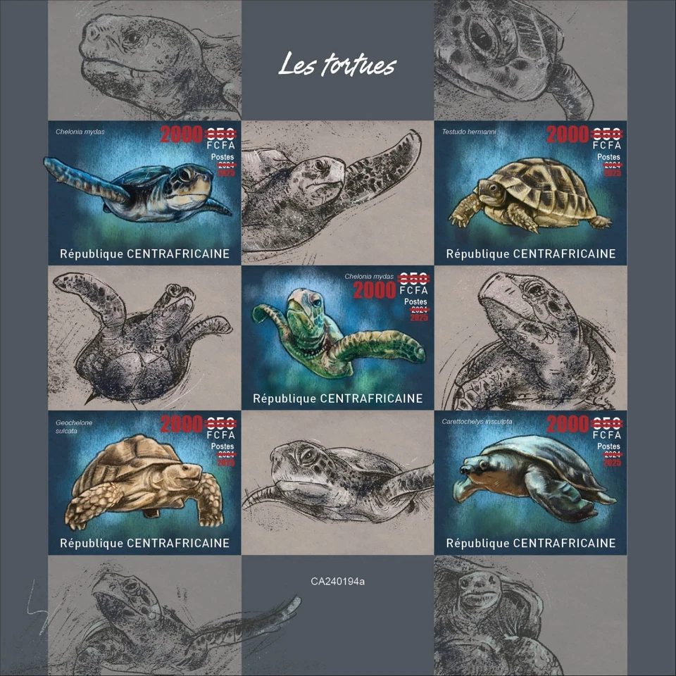 CENTRAL AFRICAN 2025 Ovpt. on 2024 MS5V IMPERF - TURTLE TURTLES REPTILES - MNH - Image 1 of 1