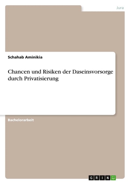Schahab Aminikia | Chancen Und Risiken Der Daseinsvorsorge Durch Privatisierung-image