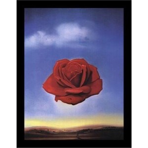 Download FRAMED Meditative Rose c 1958 by Salvador Dali 36x24 Museum Poster WIDE Black 786024806957 | eBay