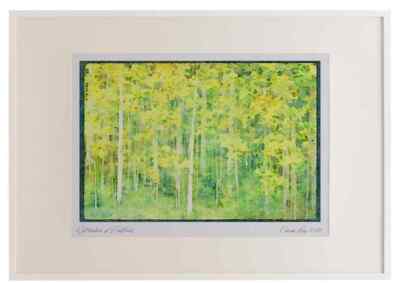 Landschaften 176055 Wechselaspen über Santa Fe A2 Bilderrahmen Aquarell p