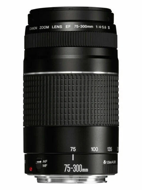 Canon EF 75-300mm Focal Camera Lenses for sale | eBay
