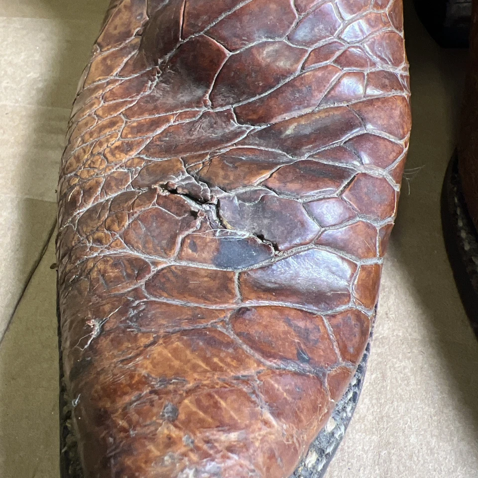 Винтажные ковбойские сапоги Justin Sea Turtle Print 9301 мужские 9,5 B коричневые поврежденные - Изображение 4 из 4