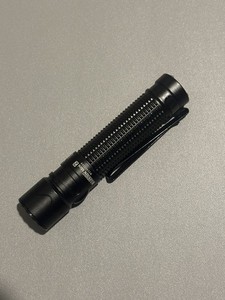 Warrior Mini 2 | eBay