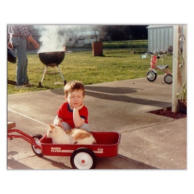 Vintage Photo of Cat Riding Radio Flyer - 1980s Backyard BBQ - Tricycle Trailer