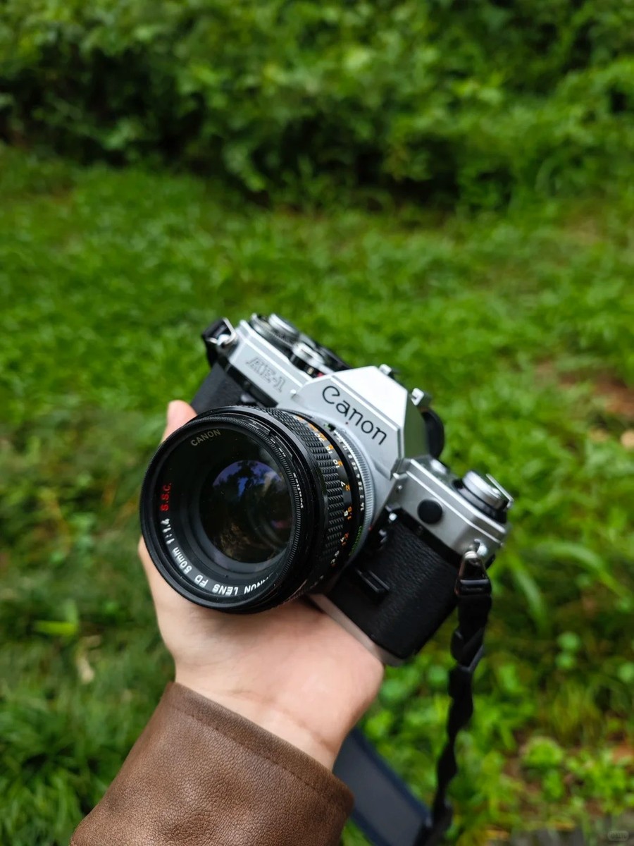 Canon AE-1 P +FD 50 f1.8 鳴きなし完動極美品 Canon AE-1 P +FD 50 f1.8 鳴きなし完動極美品 【公式通販】