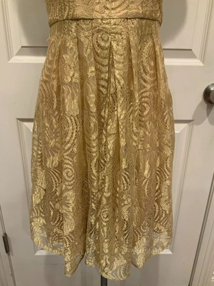 Eva Franco Anthropologie Gold Floral Lace Fit & Flare Dress, Size 0P (US) - Image 3 of 4