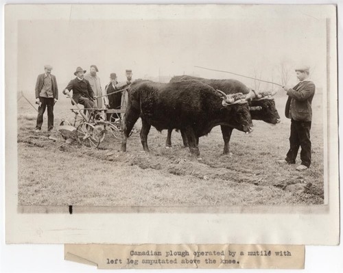 1918 Canadian Mutile Left Leg Amputated Operates Plow Original News Photo