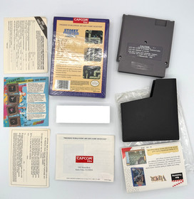 Classic NES Street Fighter 2010: The Final Fight CIB Complete w/protector cover