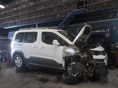 9809498377 Parasol Derecho para PEUGEOT RIFTER Access Standard 2018 1525657 - Imagen 5 de 10