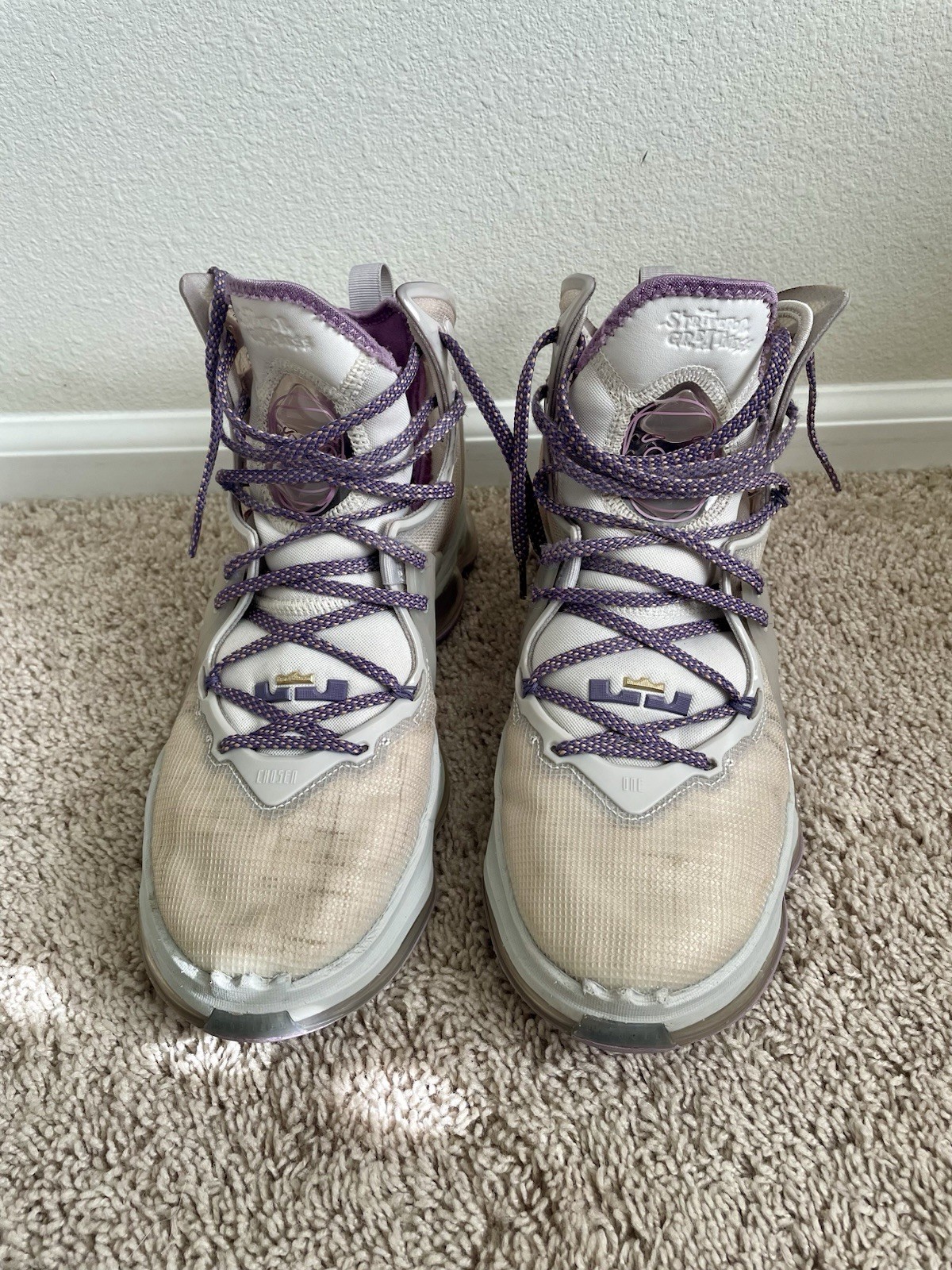 Nike LeBron 19 “Strive For Greatness” Basketball … - image 3