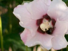 Big League Brainbusters Ultimate Adventure in Baseball Trivia