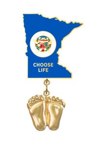Authentic Precious Feet, 14K Gold Plated, Minnesota Flag Jewelry, Lapel Pin