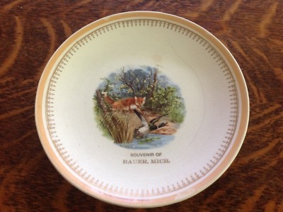 Bauer, Michigan Souvenir Plate, Circa 1910, Great Graphics | eBay