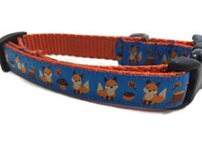 Autumn Dog Collar Caninedesign Fall 1 inch Wide Adjustable Nylon Medium and L...