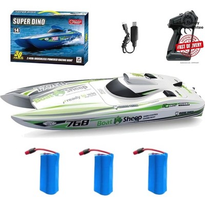 TX768 RC Jet Boat - 30km/h Brushless Catamaran with 3 LiPo Batteries Included