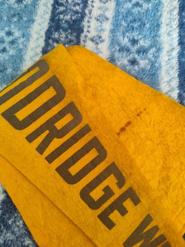  Vintage Woodridge Wildcats Pennant Banner Souvenir School Sports Felt  - Picture 7 of 7