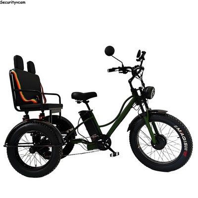 24 Zoll Elektro-Dreirad 750W 48V 18Ah Fat Tire E-Dreirad 7S Rücksitz Erwachsene