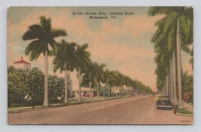 Postcard Krome Ave Looking North Homestead Florida ~ Unposted