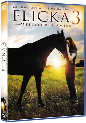DVD Movie Flicka 3 Beste Freundinnen (1 DVD)
